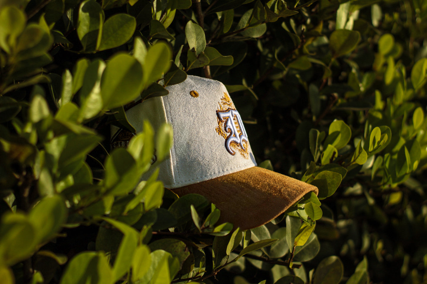 Kings City Juana Diaz