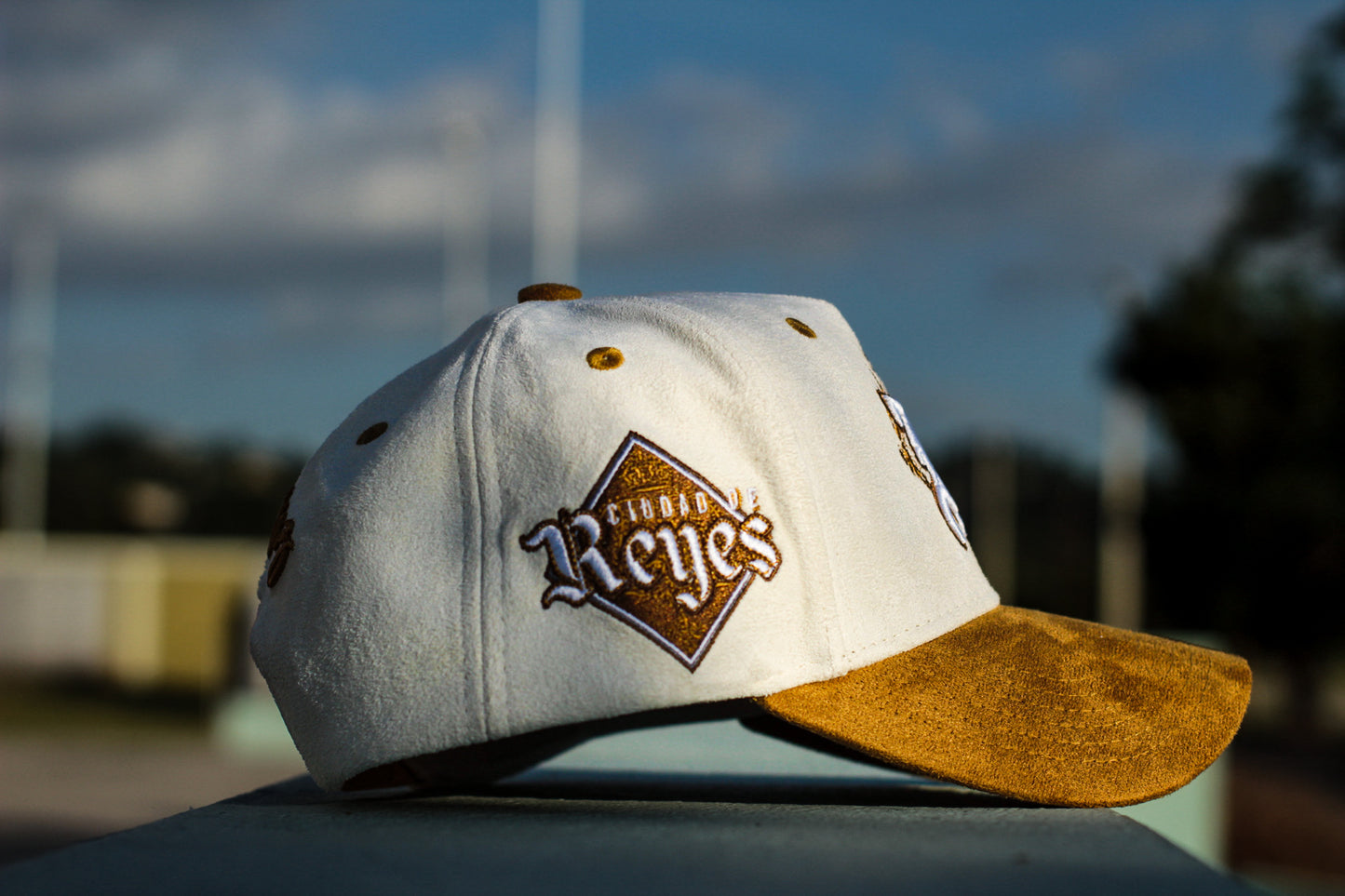 Kings City Juana Diaz