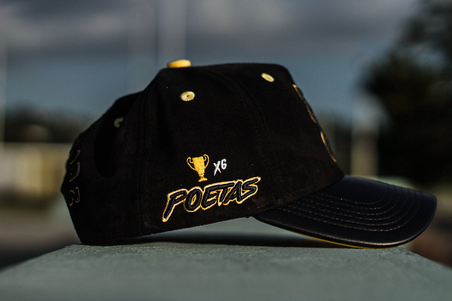 Poetas City Juana Diaz